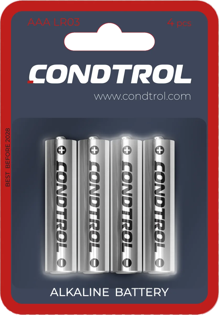 Комплект CONDTROL AAA LR03