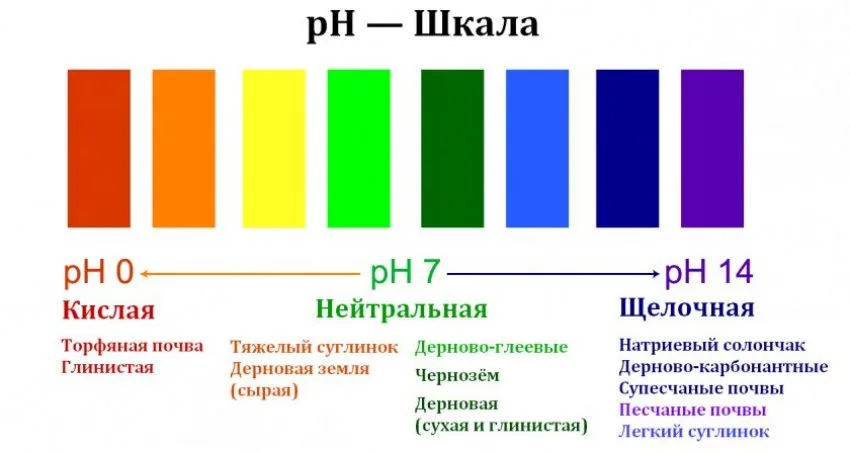 Поточная линия Диметрон для определения кислотности