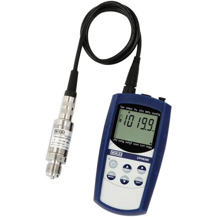 Датчик WIKA CPH6300 двухканальное исп.