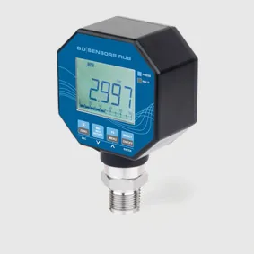 Манометр BD Sensors DS 200M
